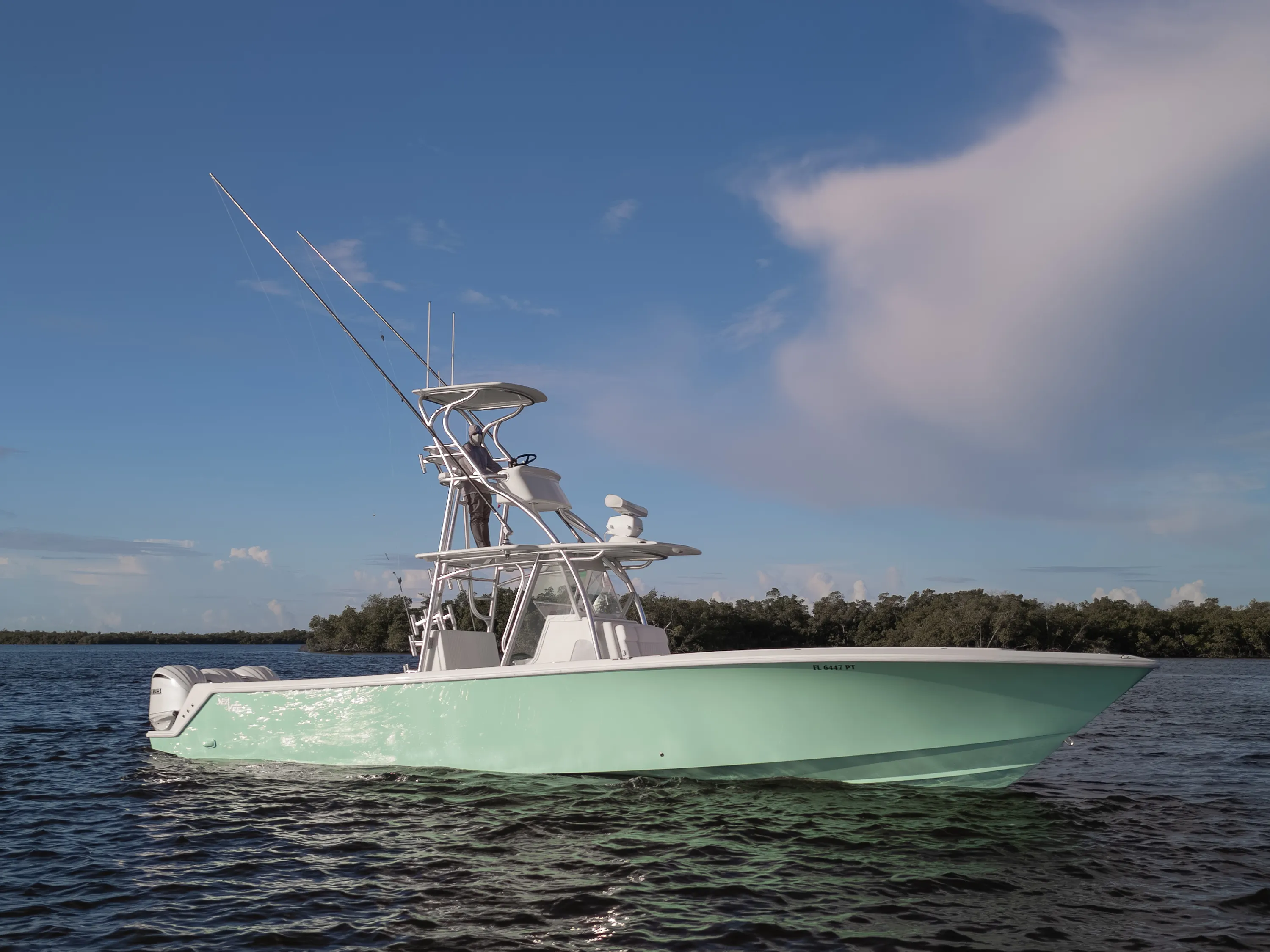 SeaVee 39: profile at rest tall cloud
