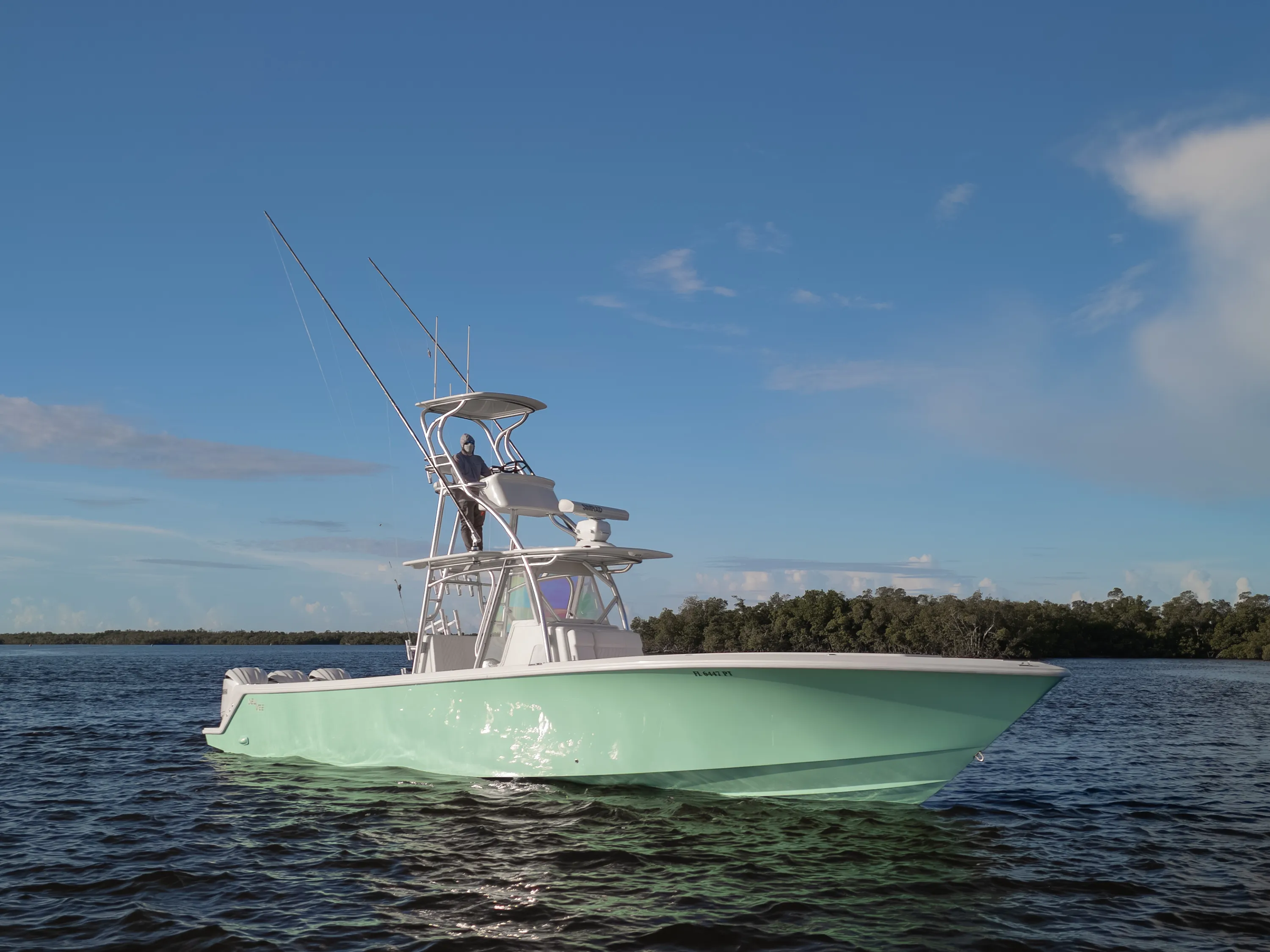 SeaVee 39: profile at rest cloud closer