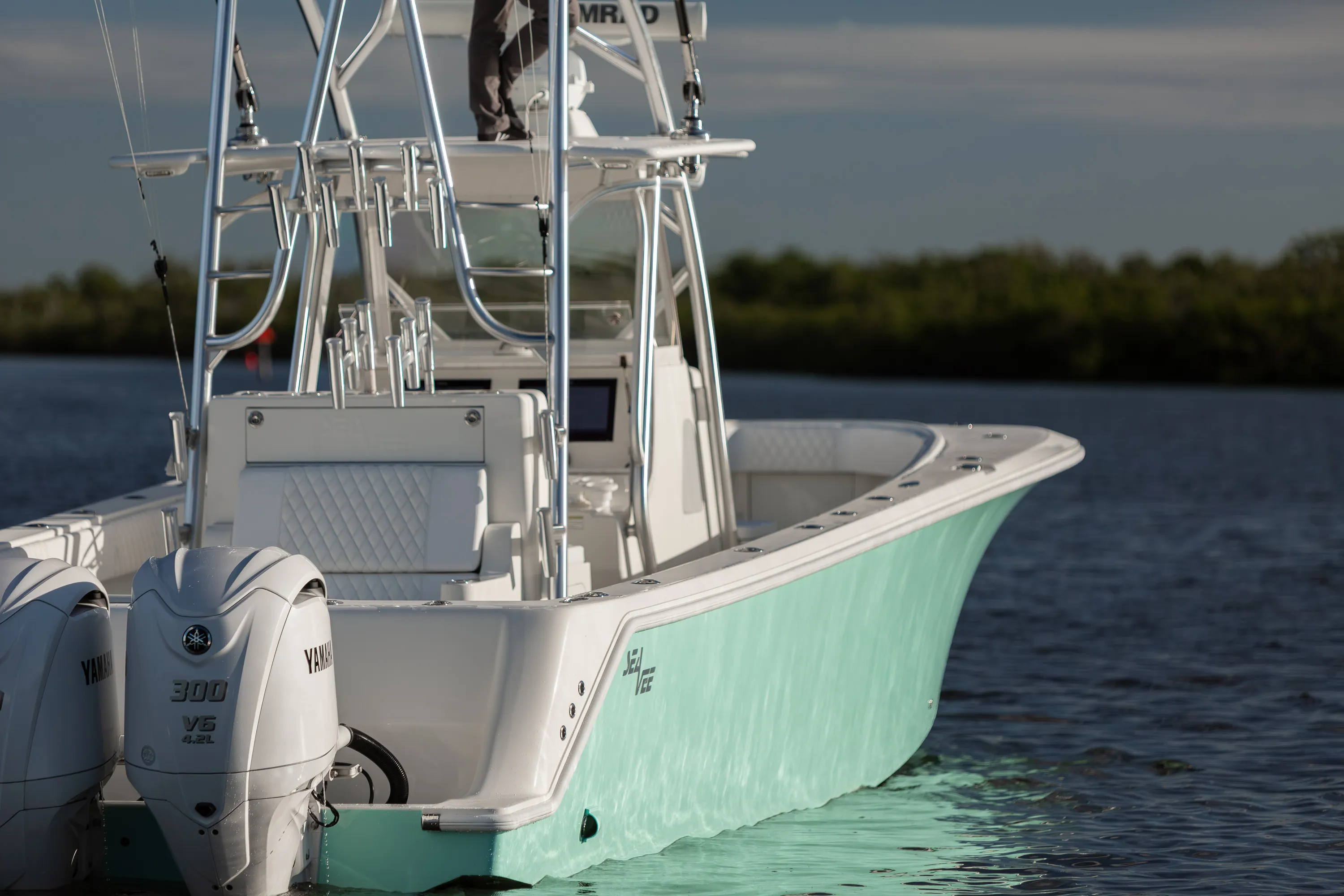 SeaVee 39: outboard cowl and stern close