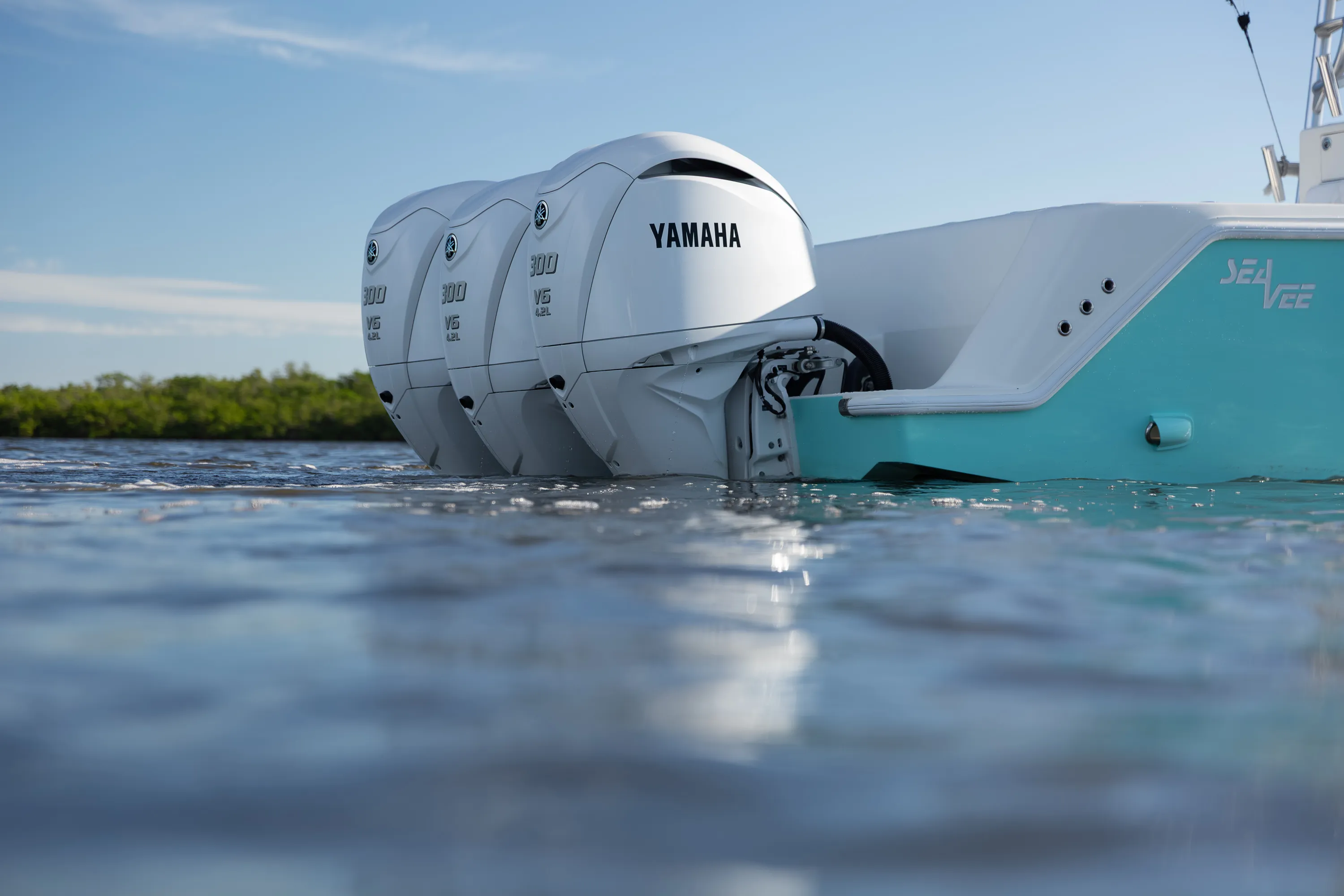 SeaVee 39: outboard cowls water foreground